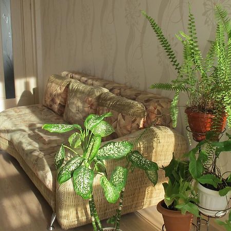 קריז'ניבקה Apartment "Ostrova" מראה חיצוני תמונה