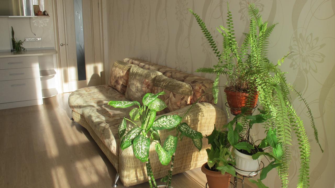 קריז'ניבקה Apartment "Ostrova" מראה חיצוני תמונה